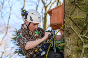 Pictured: Matthew Cook hangs the bird boxes
Loch Wood at Blackwood Estate is officially opening to the public after a community buyout in early

2021 via a BYOB (bring your own boots) opening event. The woodland will be an outdoor learning hub

for local community groups and schools and contains a reinstated Victorian path network for locals to

walk.